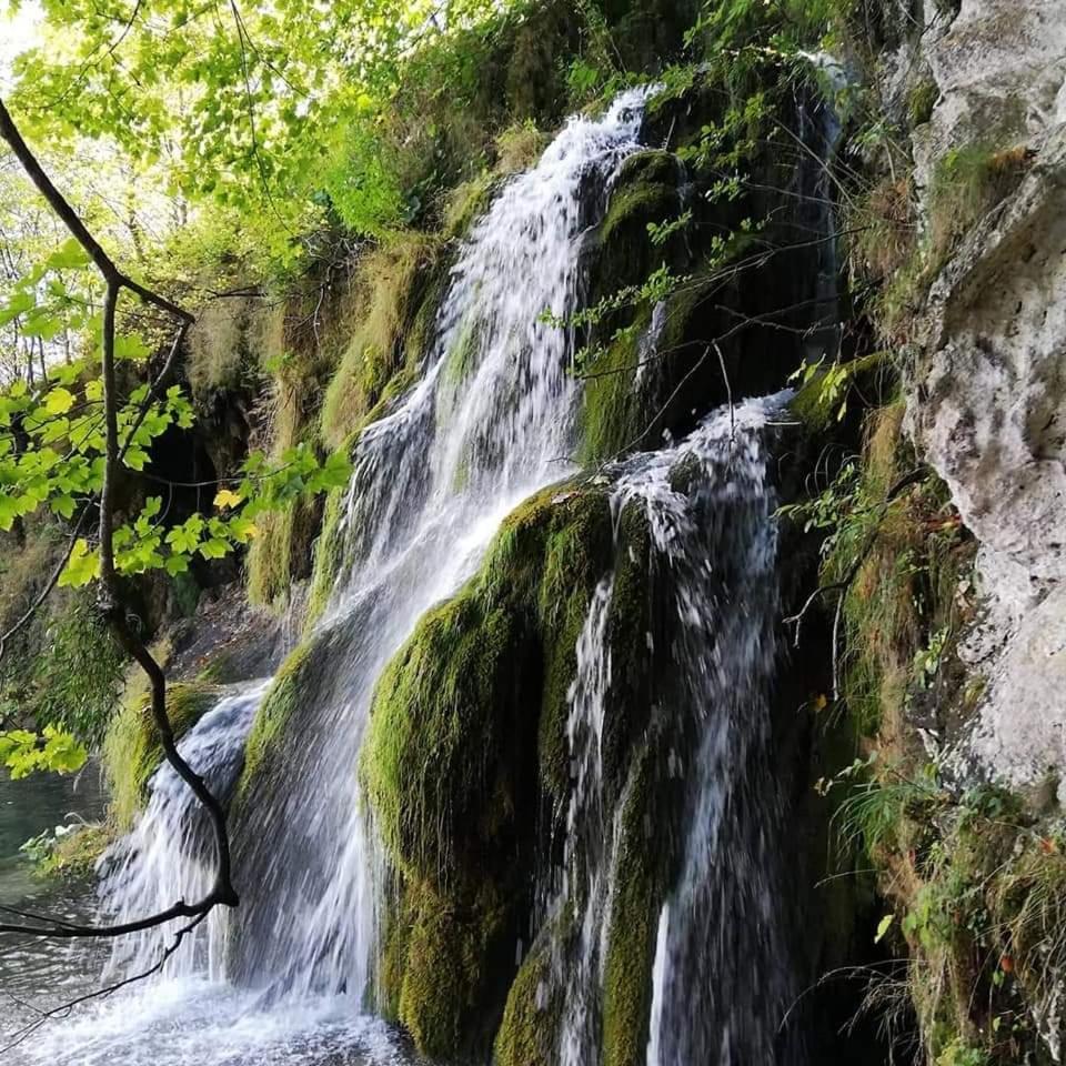 Plitvice Glock Apartment Plitvička Jezera エクステリア 写真