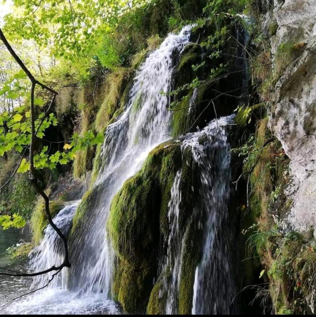 Plitvice Glock Apartment Plitvička Jezera 部屋 写真